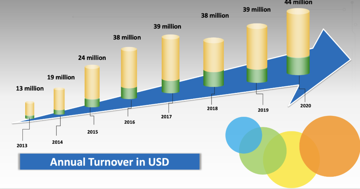 Hengli Annual Turnover