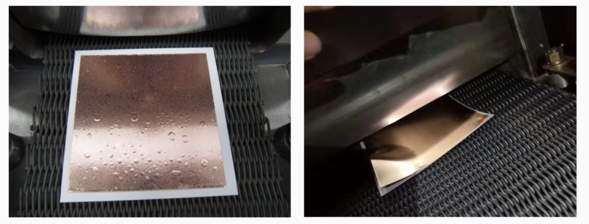 Substrate samples on a mesh conveyor belt