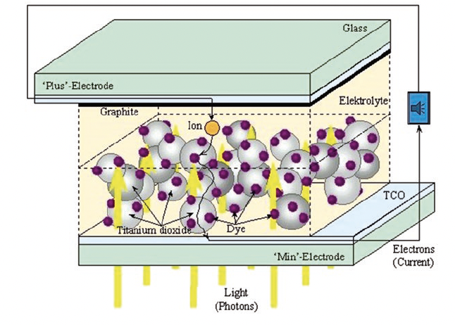 Dye-Sensitized Solar Cell
